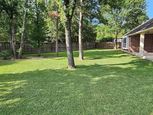 403 Woodpecker Forest Ln, Conroe, TX 77384 - view of fenced backyard