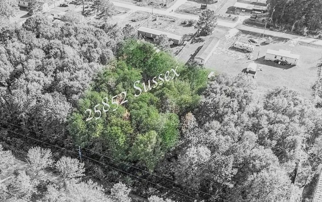 25852 Sussex, New Caney, TX 77357