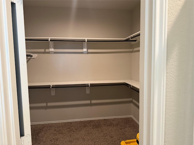 6106 Yesenia St, Katy, TX 77449 - walk in closet featuring carpet flooring
