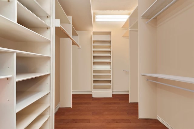 14655 Champion Forest Dr Unit 1704, Houston, TX 77069 - walk in closet featuring wood finished floors