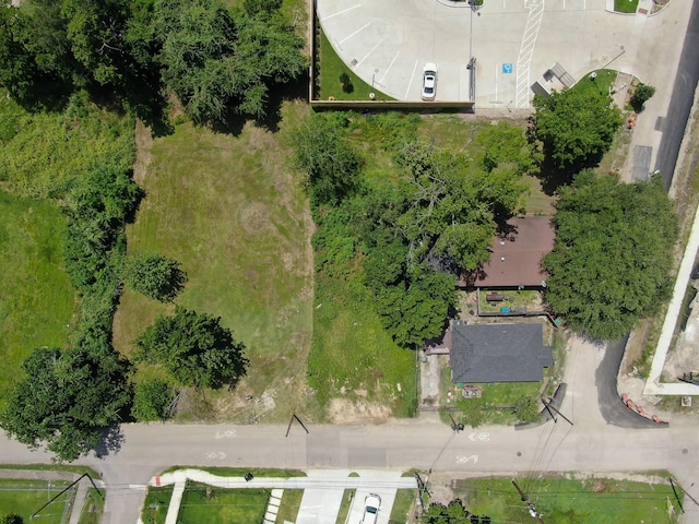 2110 Sauer St, Houston, TX 77004 - photo 3