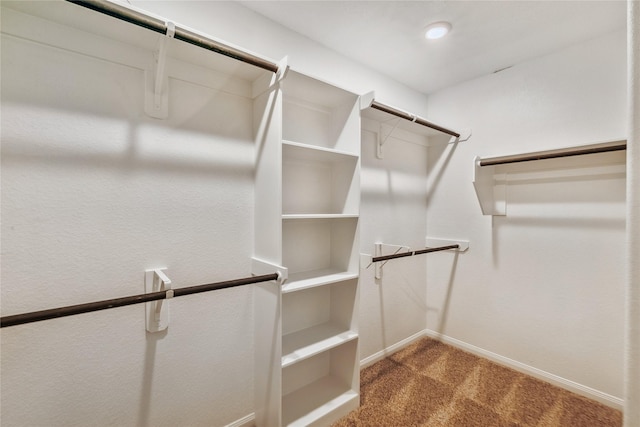 17533 Rosette Grass Dr, Conroe, TX 77385 - walk in closet featuring carpet flooring