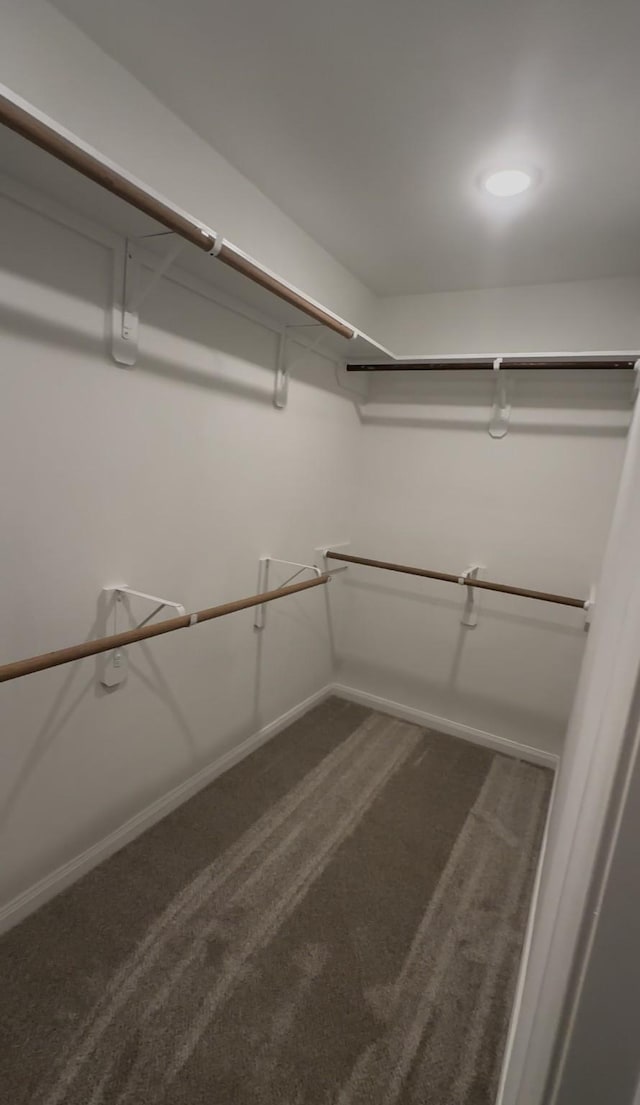 8018 Twining Oaks Ln, Spring, TX 77379 - walk in closet featuring carpet flooring
