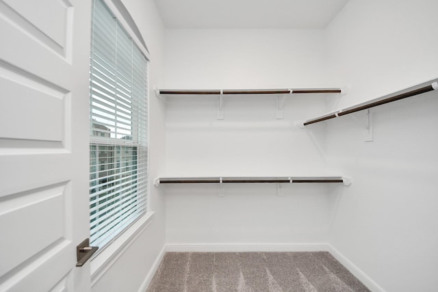 861 Dunleigh Meadows Ln, Houston, TX 77055 - spacious closet with carpet floors