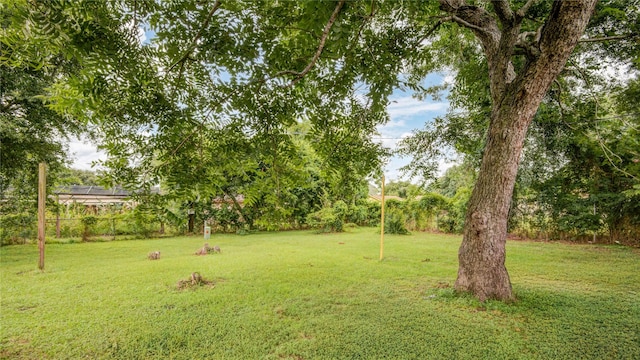 516 W Mimosa St, Angleton, TX 77515 - view of grassy yard