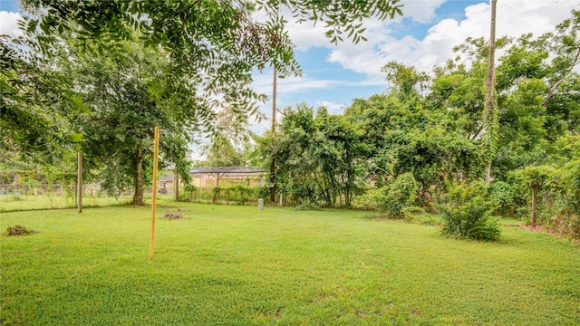 516 W Mimosa St, Angleton, TX 77515 - view of yard