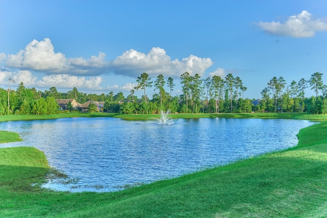368 Connemara Dr, Spring, TX 77382 - photo 41