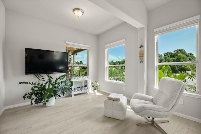 250 Peninsula Point Dr, Montgomery, TX 77356 - living area with plenty of natural light and wood finished floors