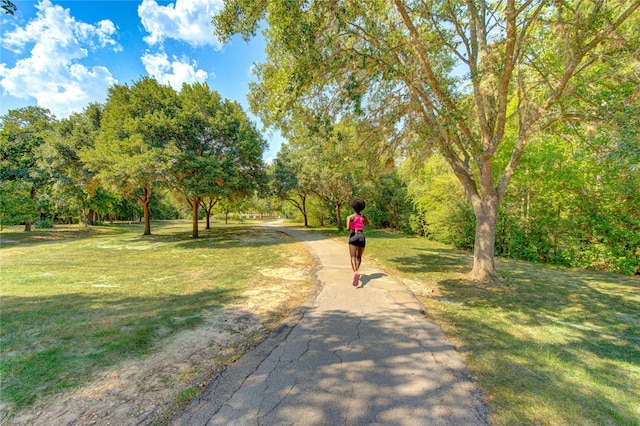 11410 Del Monte Dr, Houston, TX 77077 - surrounding community featuring a lawn and view of wooded area