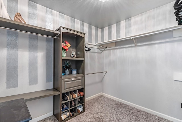 2806 Spring Dusk Ln, Spring, TX 77373 - walk in closet with carpet