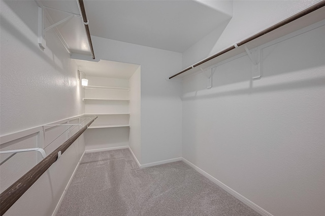 27302 Blue Pool Dr, Katy, TX 77493 - walk in closet featuring carpet floors