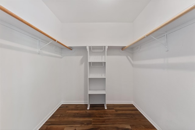 2623 Woodridge Cove Dr, Houston, TX 77087 - spacious closet with wood finished floors