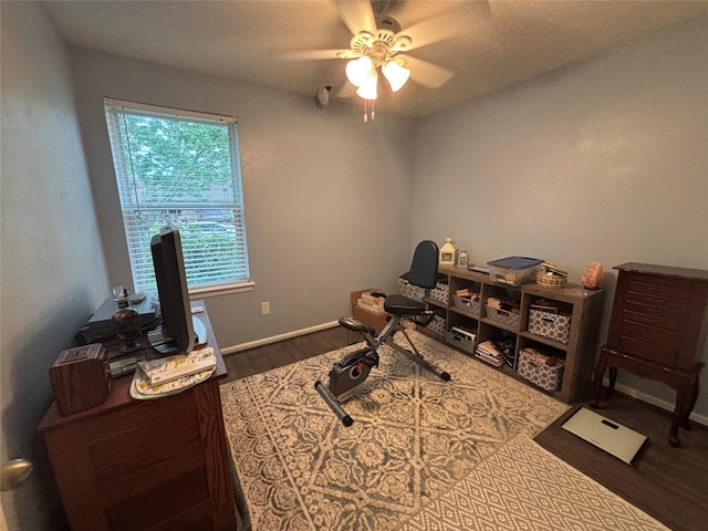 813 Camelot Ln, Friendswood, TX 77546 - office space with wood finished floors and ceiling fan