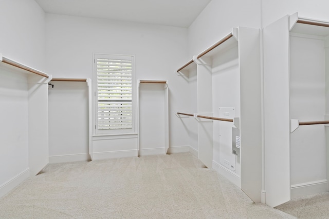 52 Tall Trl, Missouri City, TX 77459 - walk in closet with carpet floors