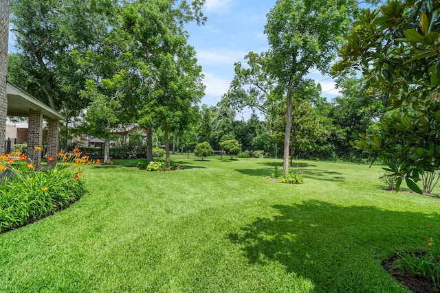 52 Tall Trl, Missouri City, TX 77459 - view of grassy yard with view of wooded area