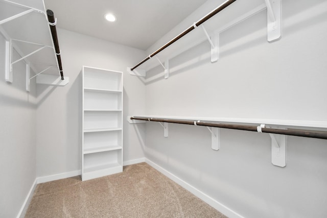 11138 Gardenia Creek Dr, Houston, TX 77044 - spacious closet featuring carpet floors