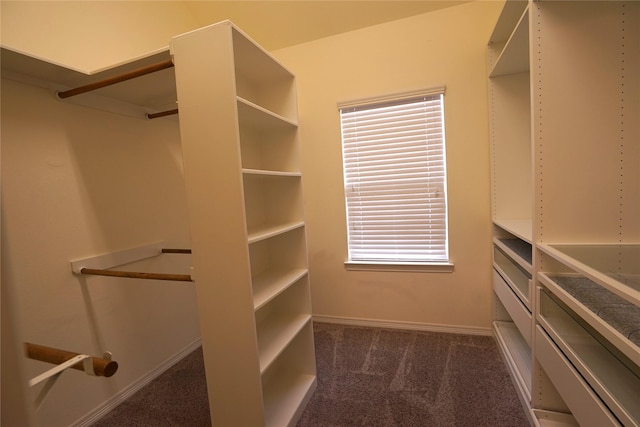 12248 Oxford Crescent Cir, Houston, TX 77082 - walk in closet featuring dark carpet