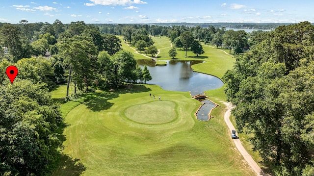 13727 Fountainview Dr, Montgomery, TX 77356 - bird's eye view of a large body of water and a golf course