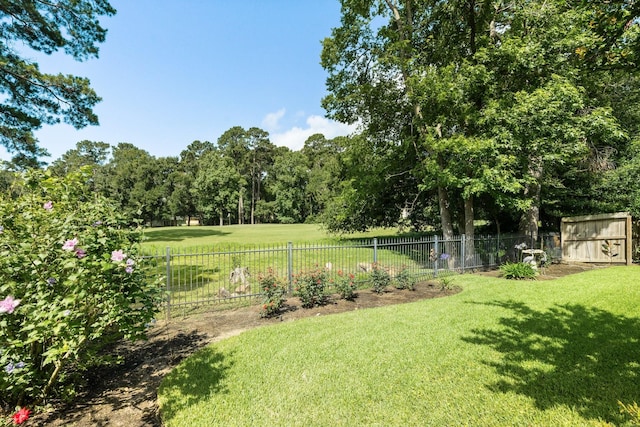 13727 Fountainview Dr, Montgomery, TX 77356 - view of yard