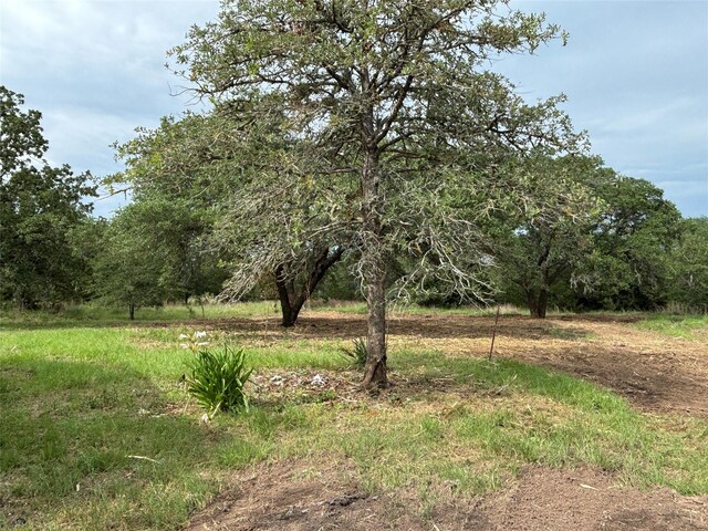 207 Joe Cole Ln, Smithville, TX 78957
