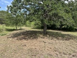 207 Joe Cole Ln, Smithville, TX 78957