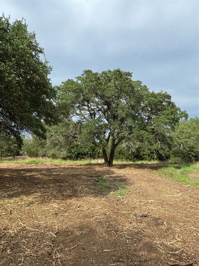 207 Joe Cole Ln, Smithville, TX 78957
