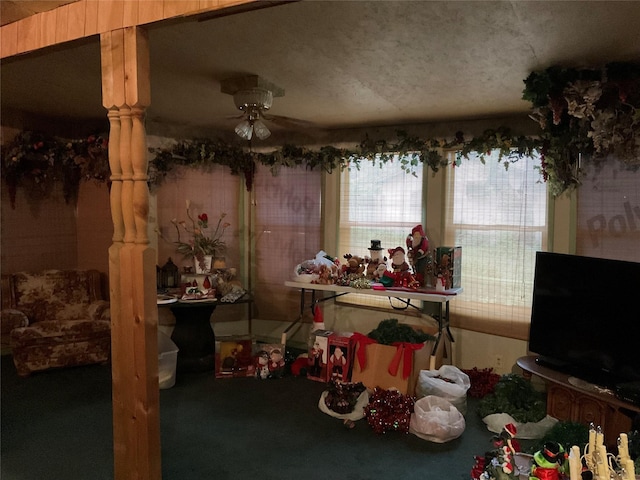 404 Svoboda St, Yoakum, TX 77995 - carpeted dining room with a ceiling fan