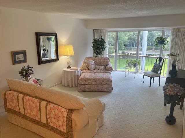 5050 Ambassador Way Unit 201, Houston, TX 77056 - living area with carpet flooring and a textured ceiling