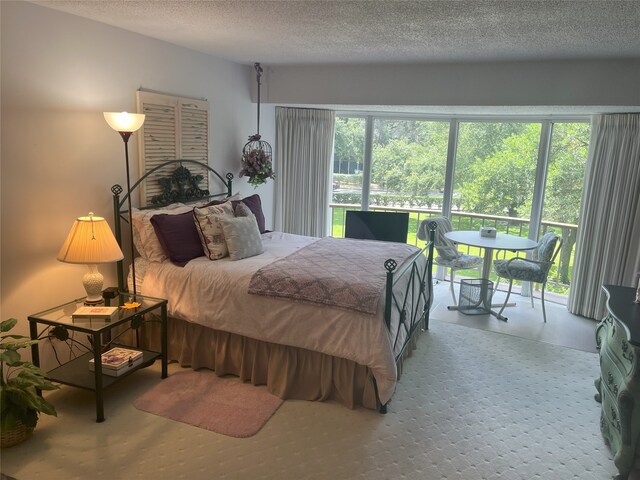 5050 Ambassador Way Unit 201, Houston, TX 77056 - bedroom featuring access to outside and a textured ceiling
