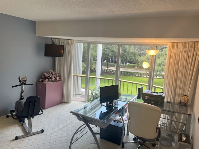 5050 Ambassador Way Unit 201, Houston, TX 77056 - office with carpet flooring and a textured ceiling
