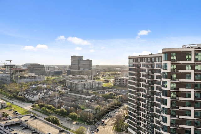 2001 Holcombe Blvd Unit 2305, Houston, TX 77030 - view of city