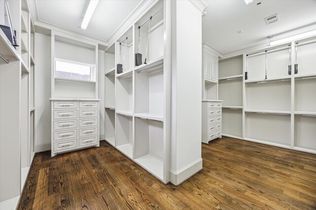 8304 Maple Ct, Bellaire, TX 77401 - walk in closet with dark wood-style floors
