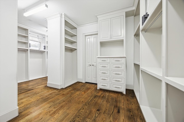 8304 Maple Ct, Bellaire, TX 77401 - walk in closet featuring dark wood-style floors