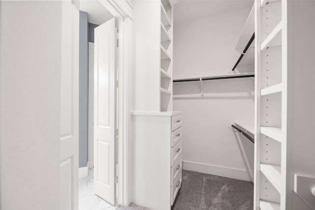 13978 Jamaica Cir, Willis, TX 77318 - view of walk in closet