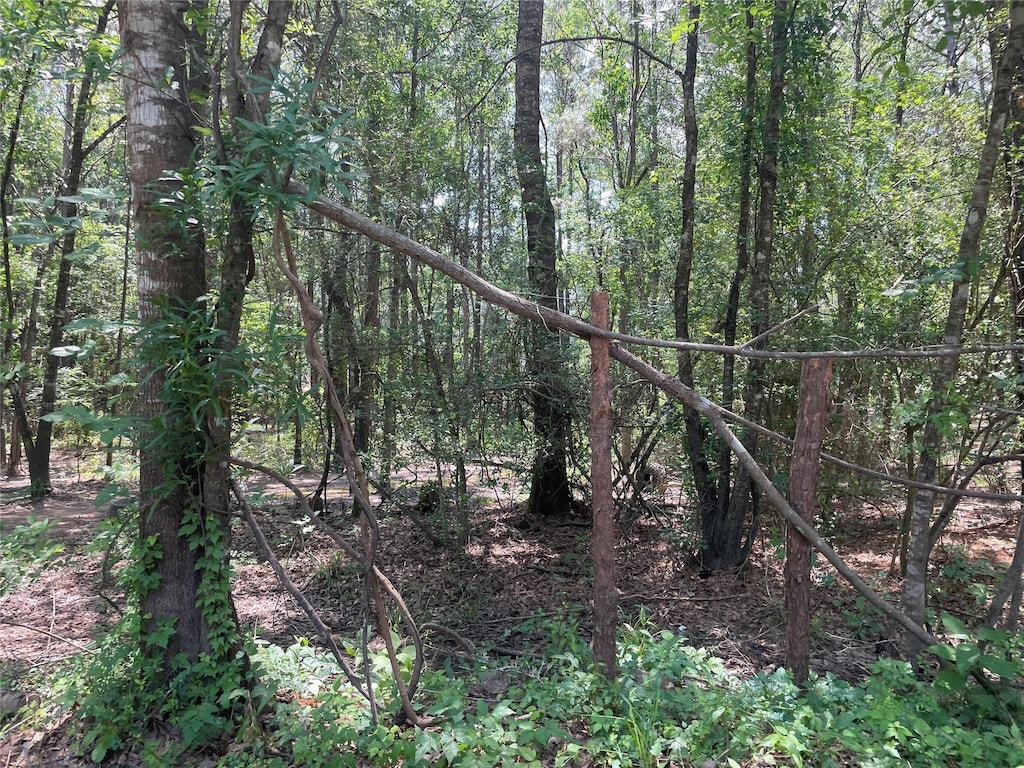 00 Mill Creek Dr N, Plantersville, TX 77363