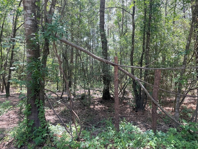 00 Mill Creek Dr N, Plantersville, TX 77363