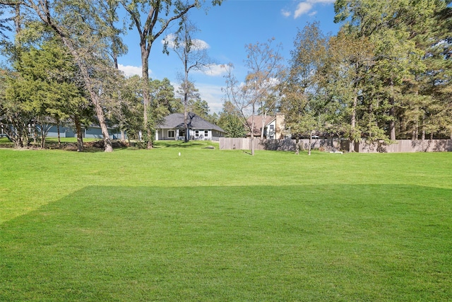 14159 Lakepoint Dr, Willis, TX 77318 - view of yard