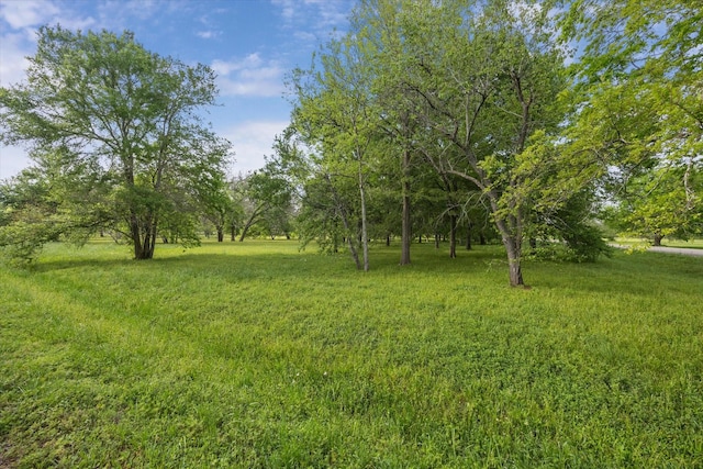 LOT7TBD Wagon Rd, Wallis, TX 77485