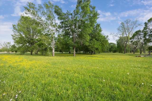 LOT7TBD Wagon Rd, Wallis, TX 77485
