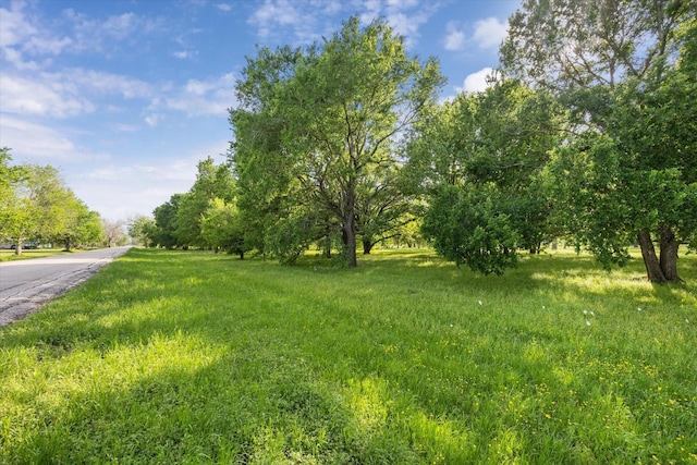 LOT7TBD Wagon Rd, Wallis, TX 77485