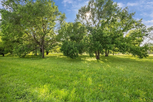 LOT7TBD Wagon Rd, Wallis, TX 77485