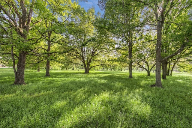 LOT7TBD Wagon Rd, Wallis, TX 77485