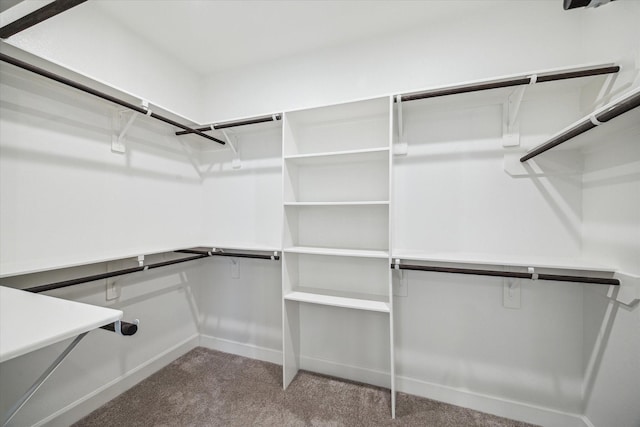 17471 Bayflower, Conroe, TX 77385 - spacious closet with carpet