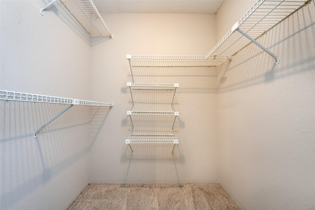 12905 Woodforest Blvd Unit 202, Houston, TX 77015 - walk in closet with carpet