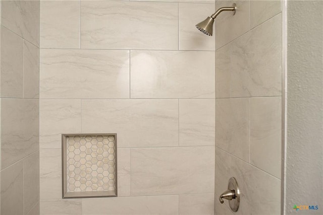 248 Park Rd, Port Lavaca, TX 77979 - bathroom view of tiled shower
