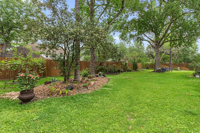 8706 Ashridge Park Dr, Spring, TX 77379 - view of fenced backyard