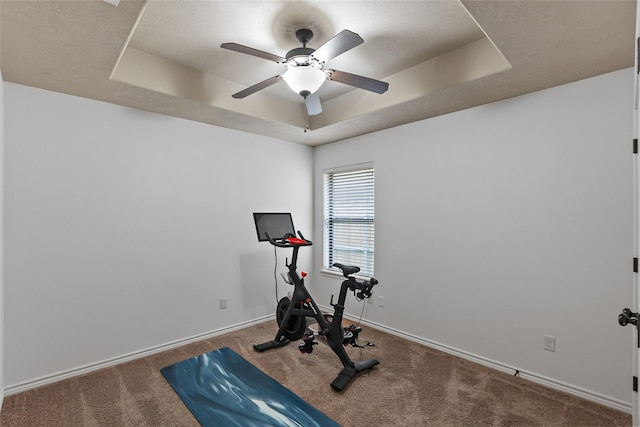 4202 Carnes Ct S, College Station, TX 77845 - workout area featuring a tray ceiling, carpet, and a ceiling fan