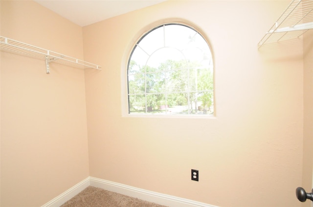 2713 Druid St, Houston, TX 77091 - spacious closet with carpet floors