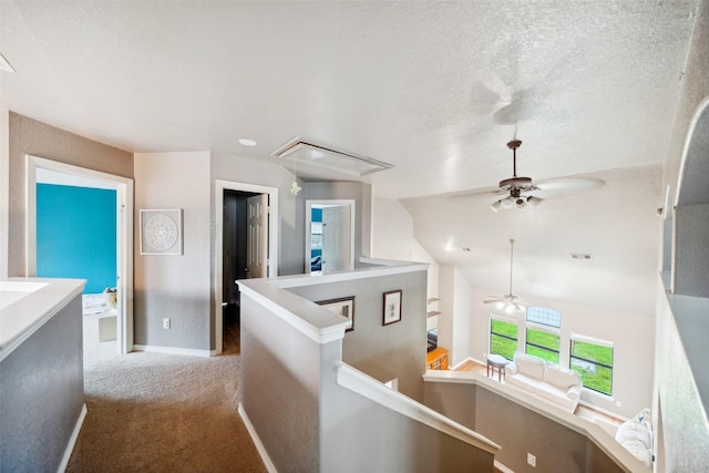 810 Belvedere Dr, Conroe, TX 77301 - photo 22