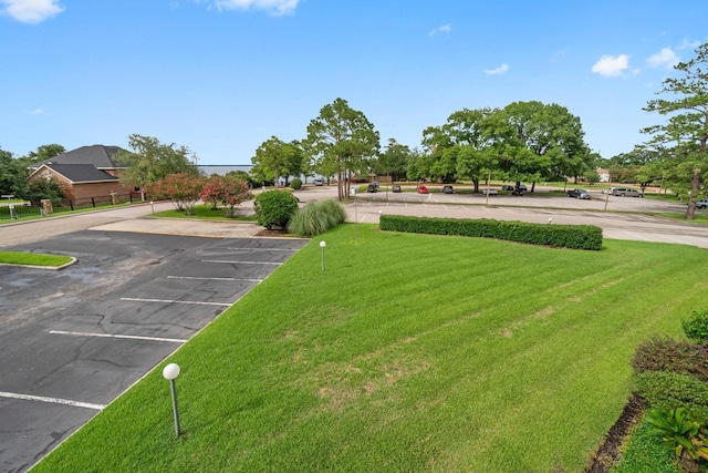12800 Melville Dr Unit B207, Montgomery, TX 77356 - view of yard